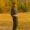 HEALY